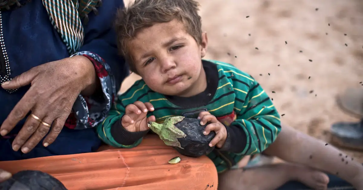 Best Way to Donate to Syrian Refugees