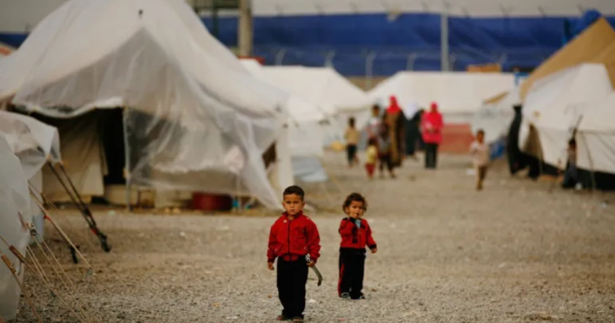 Environmental Impact of Refugee Camps